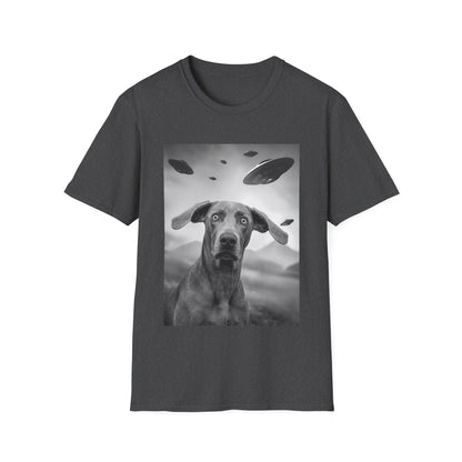 Weimaraner UFO