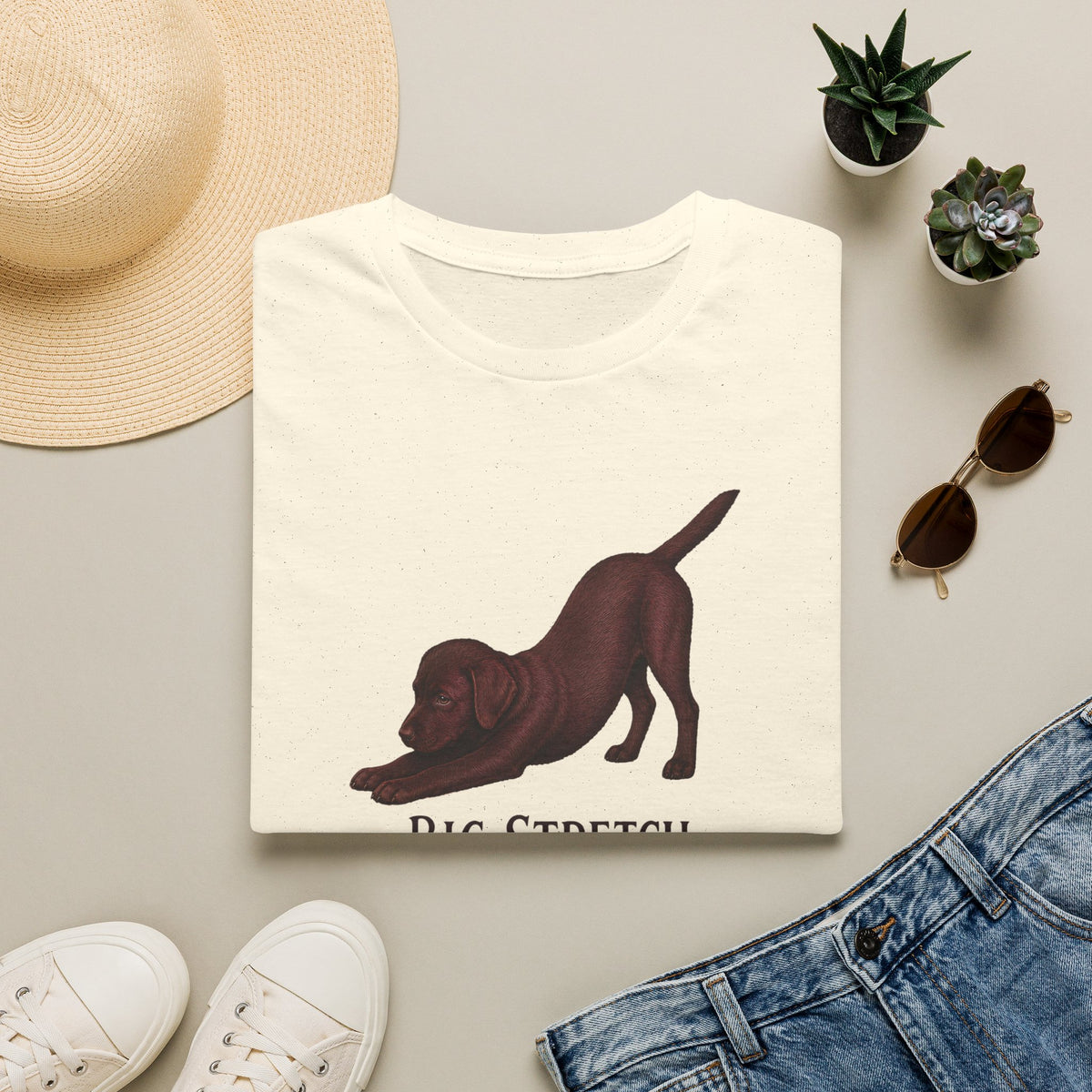Big Stretch Chocolate Labrador Puppy