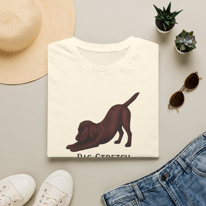 Big Stretch Chocolate Labrador Puppy