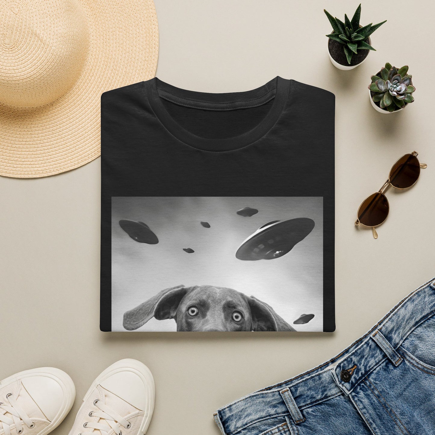 Weimaraner UFO