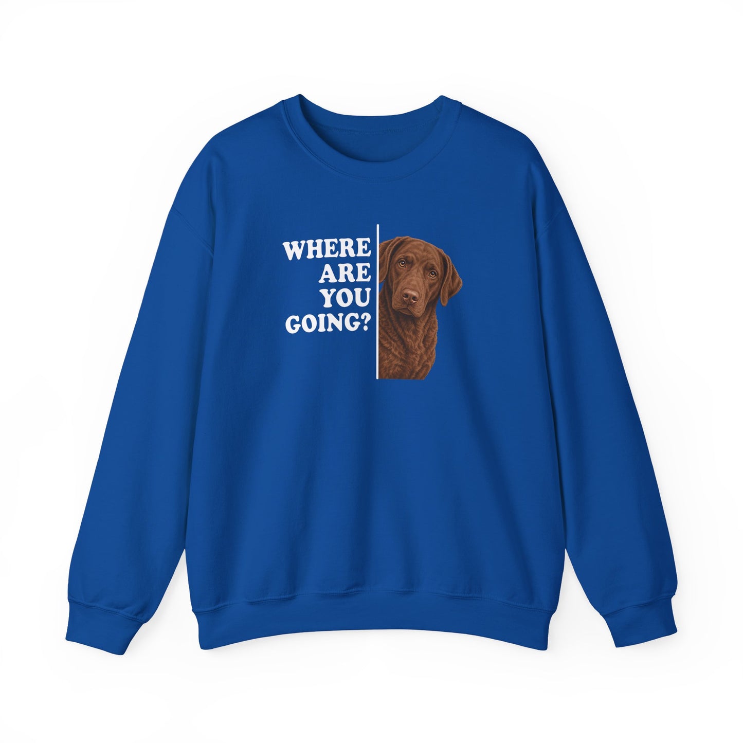 Chesapeake Bay Retriever Where Are You Going Crewneck Sweatshirt