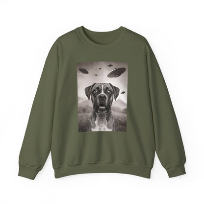Boxer UFO Crewneck Sweatshirt