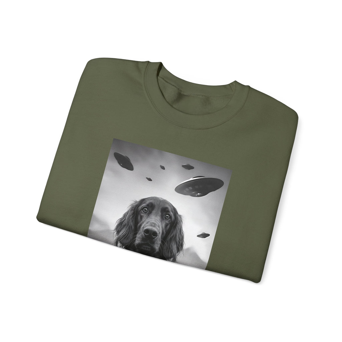 Irish Setter UFO Crewneck Sweatshirt