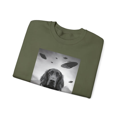 Irish Setter UFO Crewneck Sweatshirt