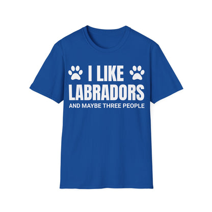 I Like Labradors Tee