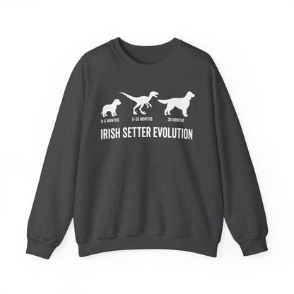 Irish Setter Evolution Crewneck Sweatshirt