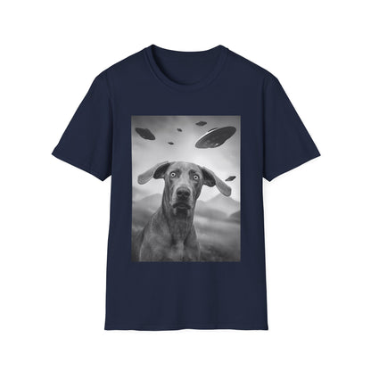 Weimaraner UFO