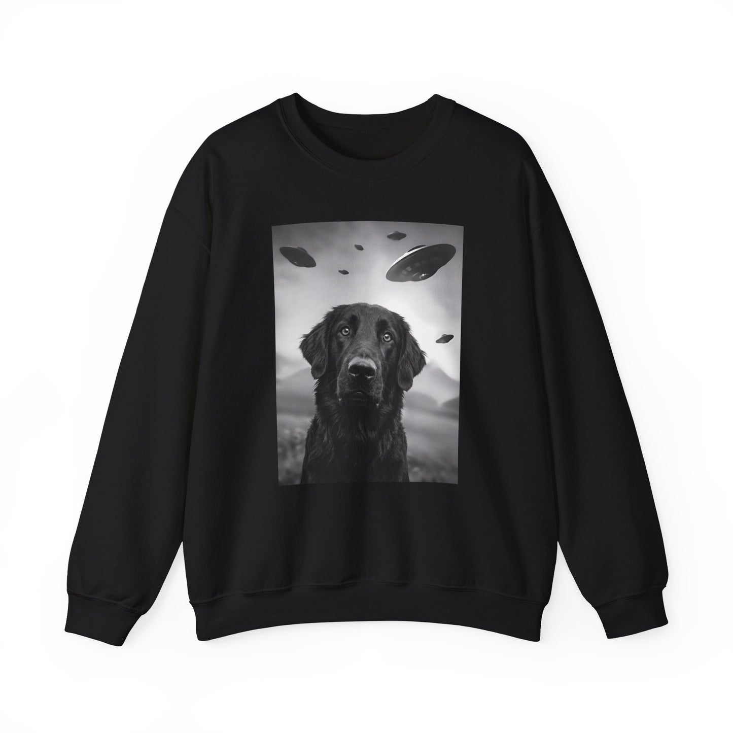 Flat Coated Retriever UFO Crewneck Sweatshirt