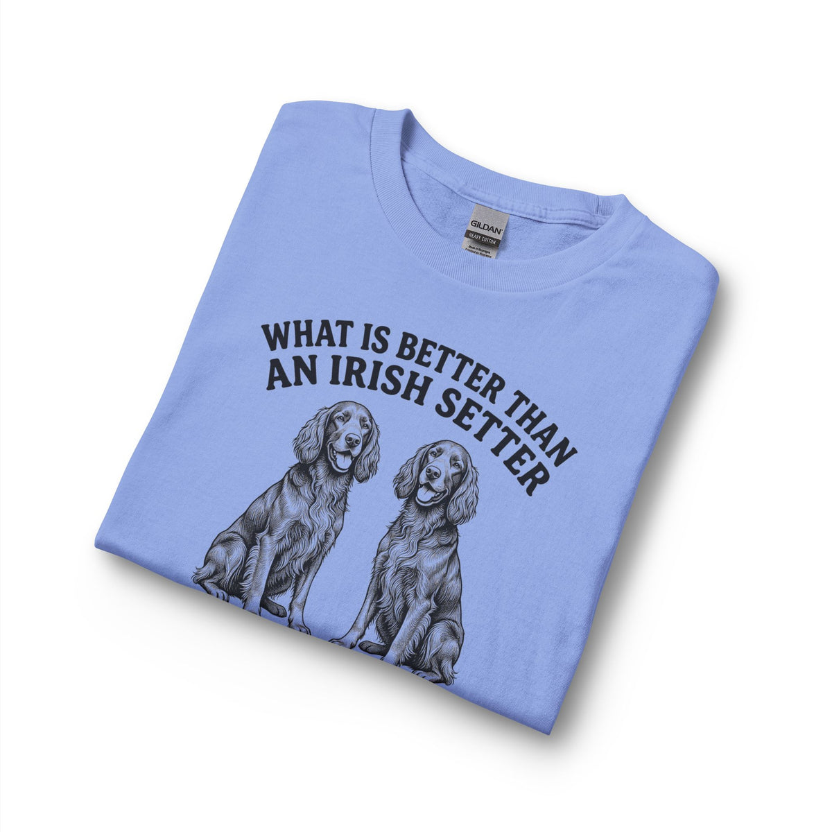 Irish Setter What Is Better Than One Long Sleeve