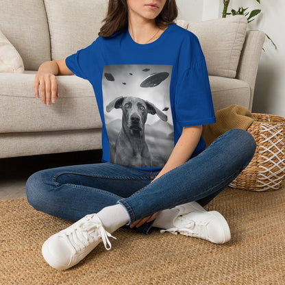 Weimaraner UFO
