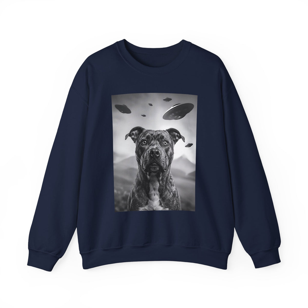 Pitbull UFO Crewneck Sweatshirt
