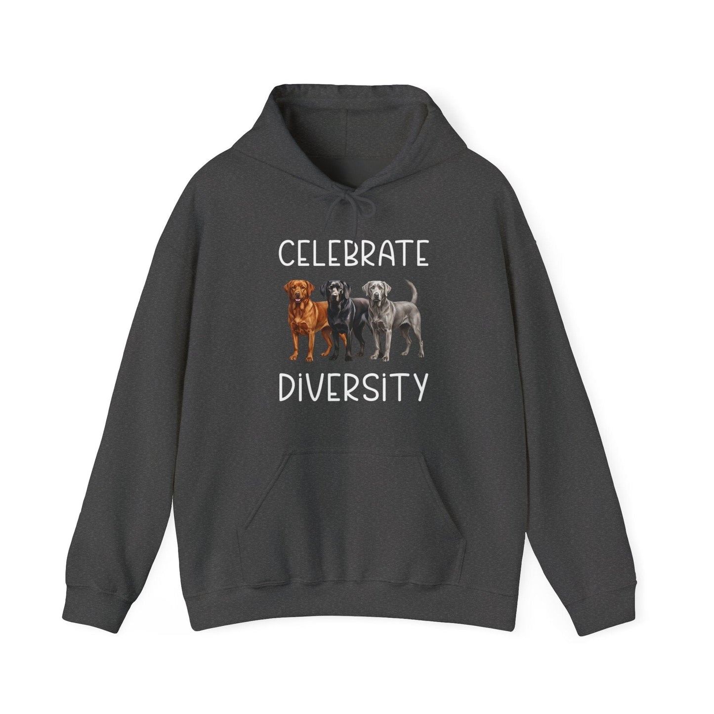 Celebrate Diversity Hoodie Dark Heather
