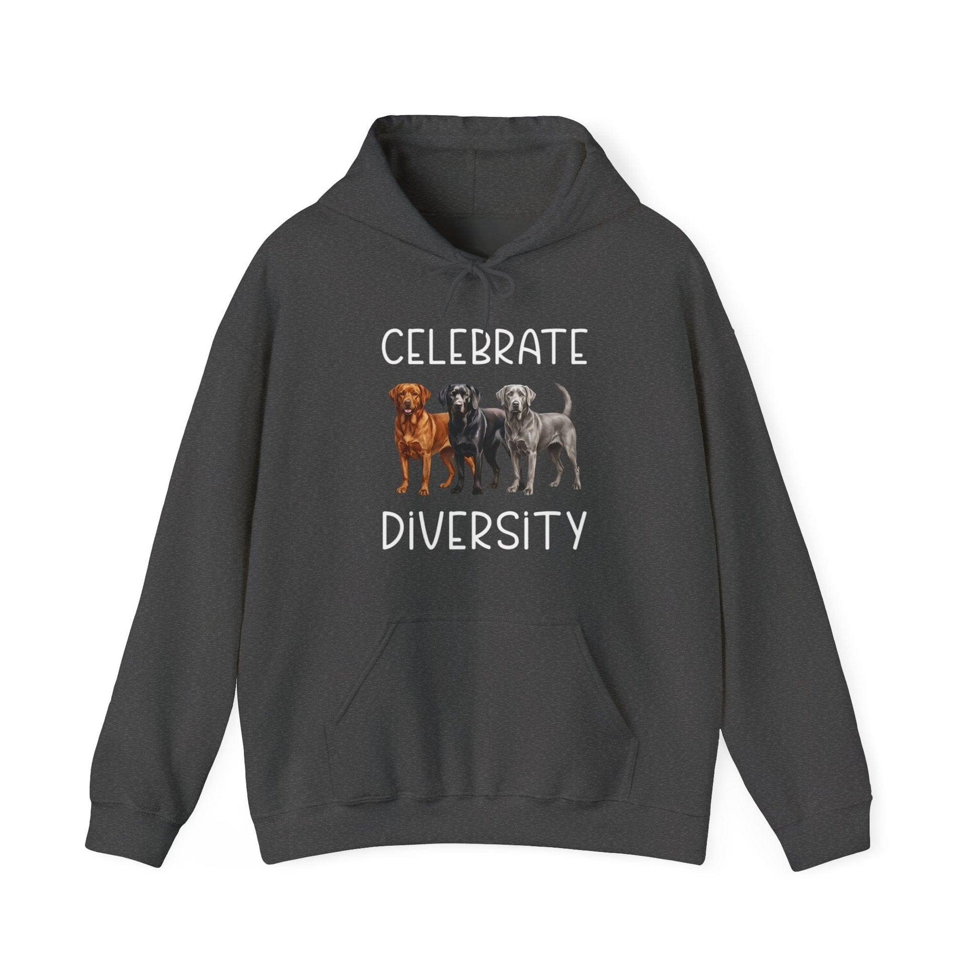 Celebrate Diversity Hoodie Dark Heather