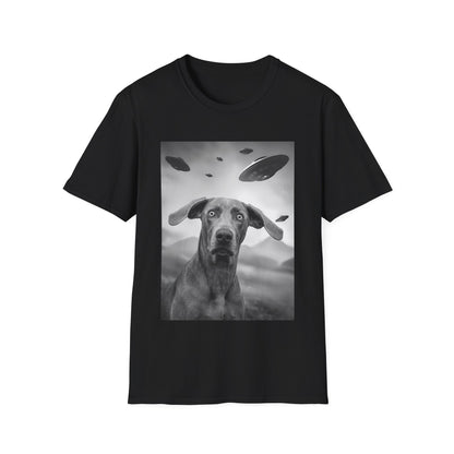 Weimaraner UFO