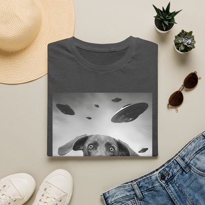Weimaraner UFO