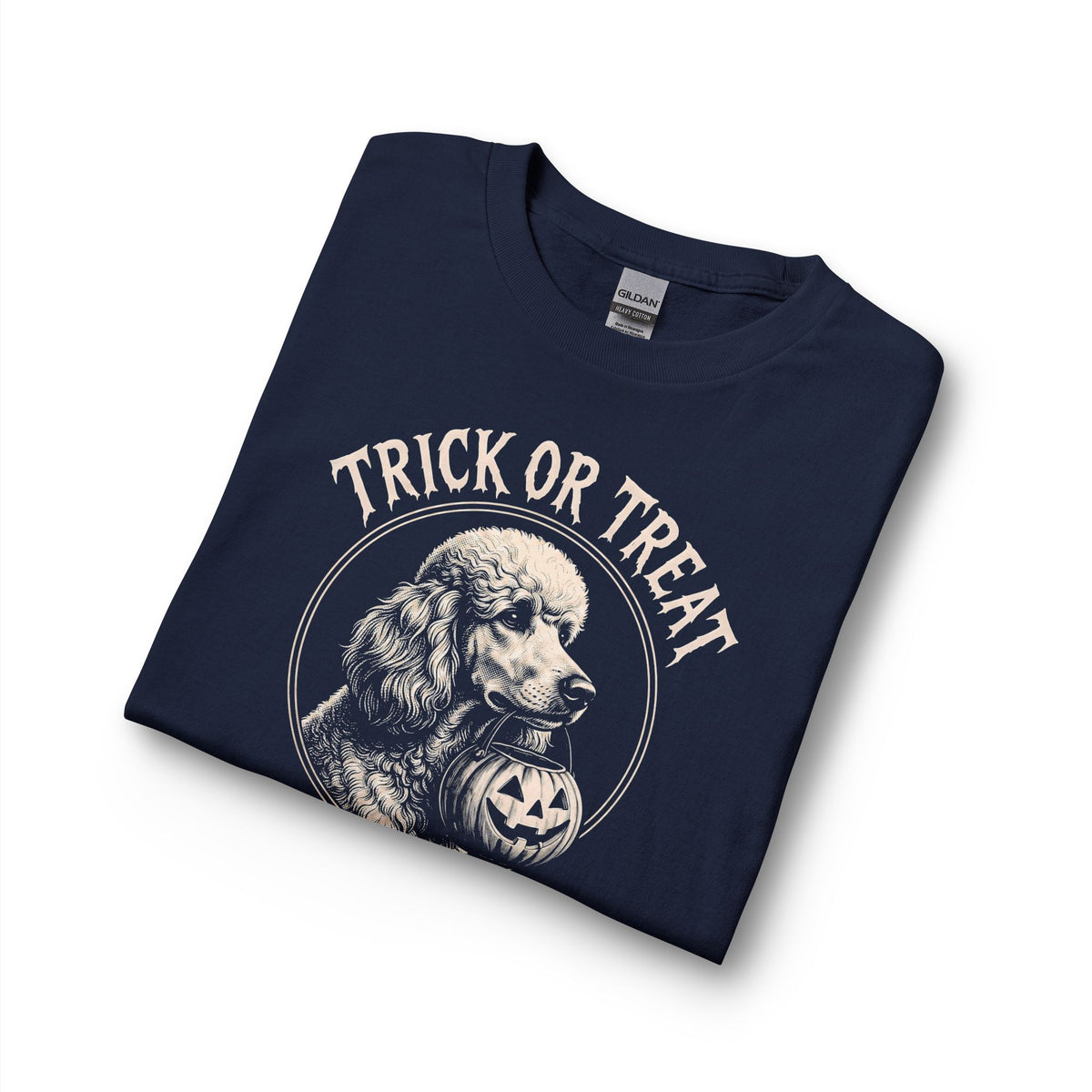 Standard Poodle Trick Or Treat 2 Long Sleeve