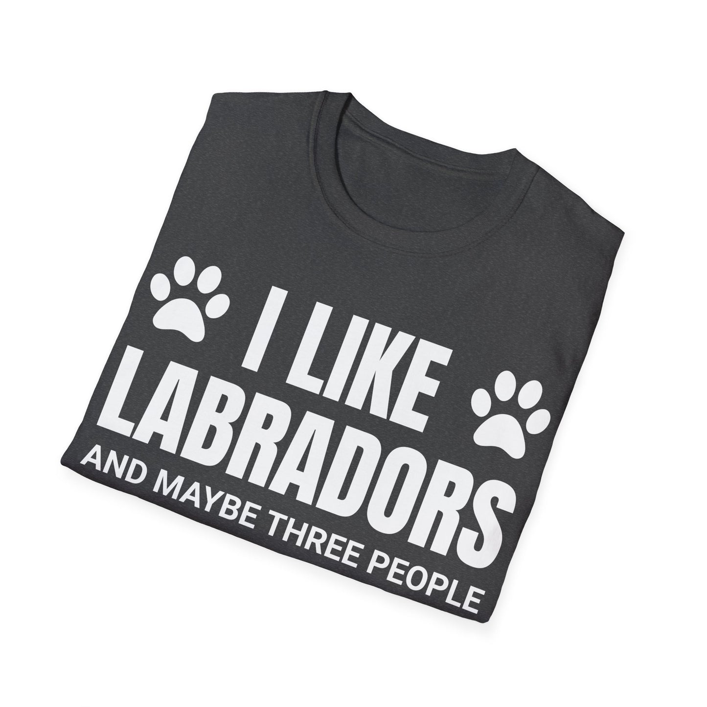 I Like Labradors Tee