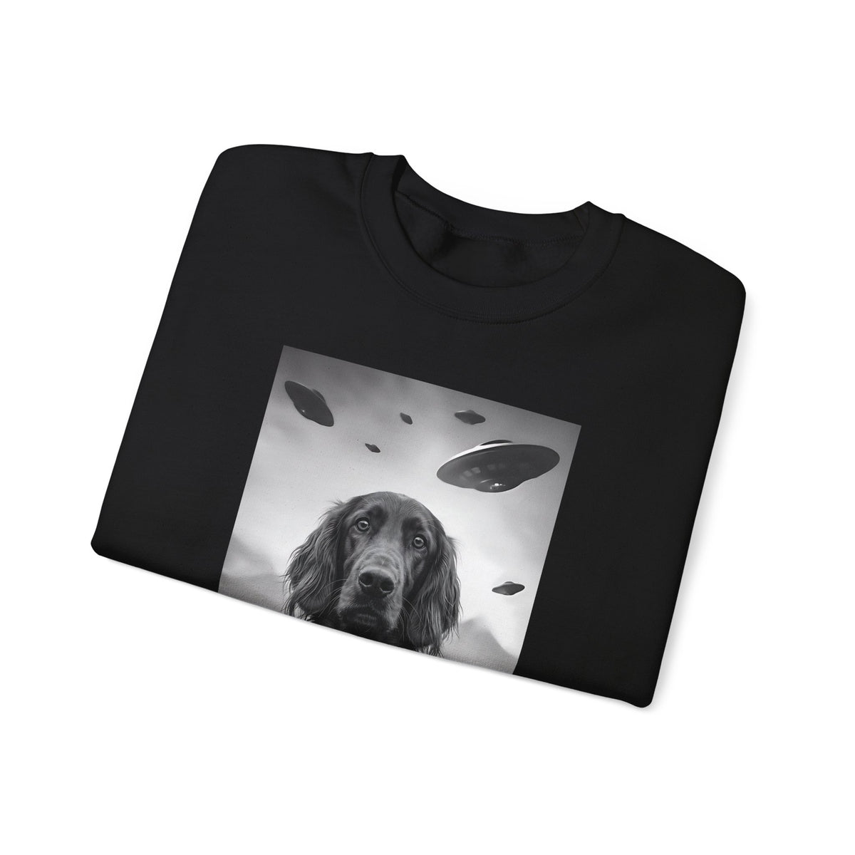 Irish Setter UFO Crewneck Sweatshirt