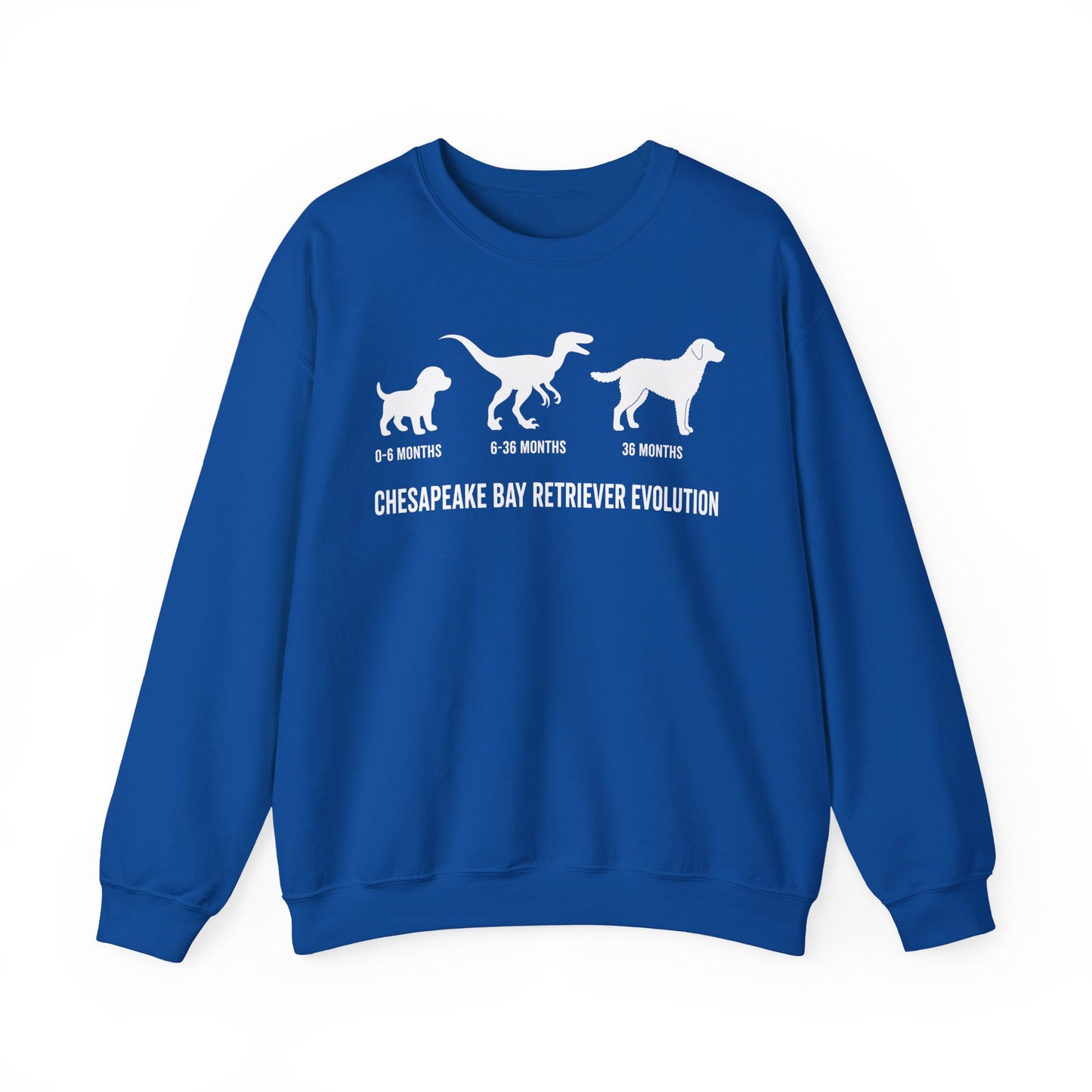Chesapeake Bay Retriever Evolution Crewneck Sweatshirt