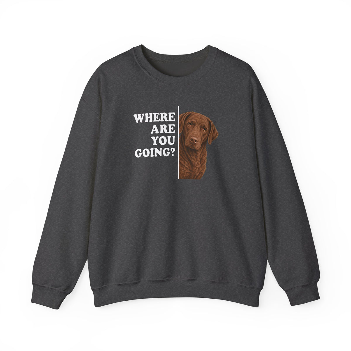 Chesapeake Bay Retriever Where Are You Going Crewneck Sweatshirt