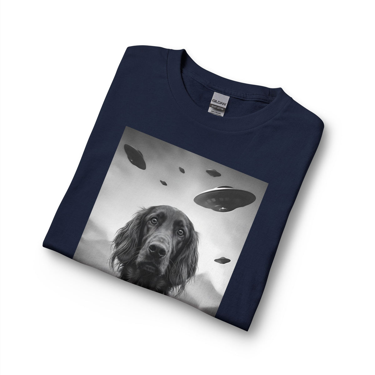 Irish Setter UFO Long Sleeve