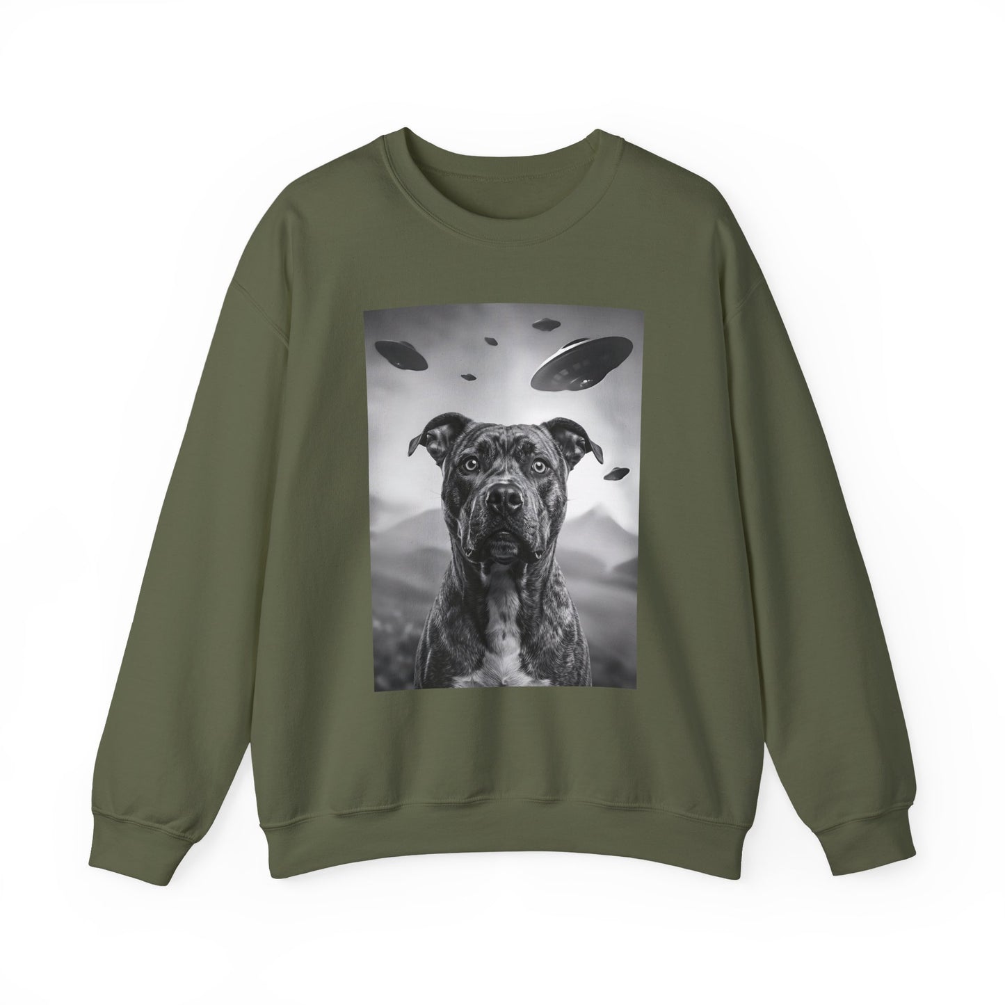 Pitbull UFO Crewneck Sweatshirt