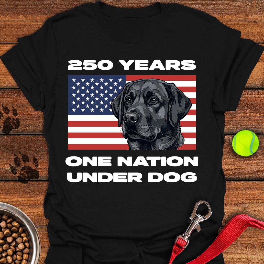 250 Years USA Black Lab Black