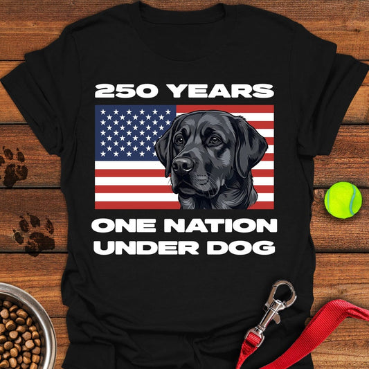 250 Years USA Black Lab Black