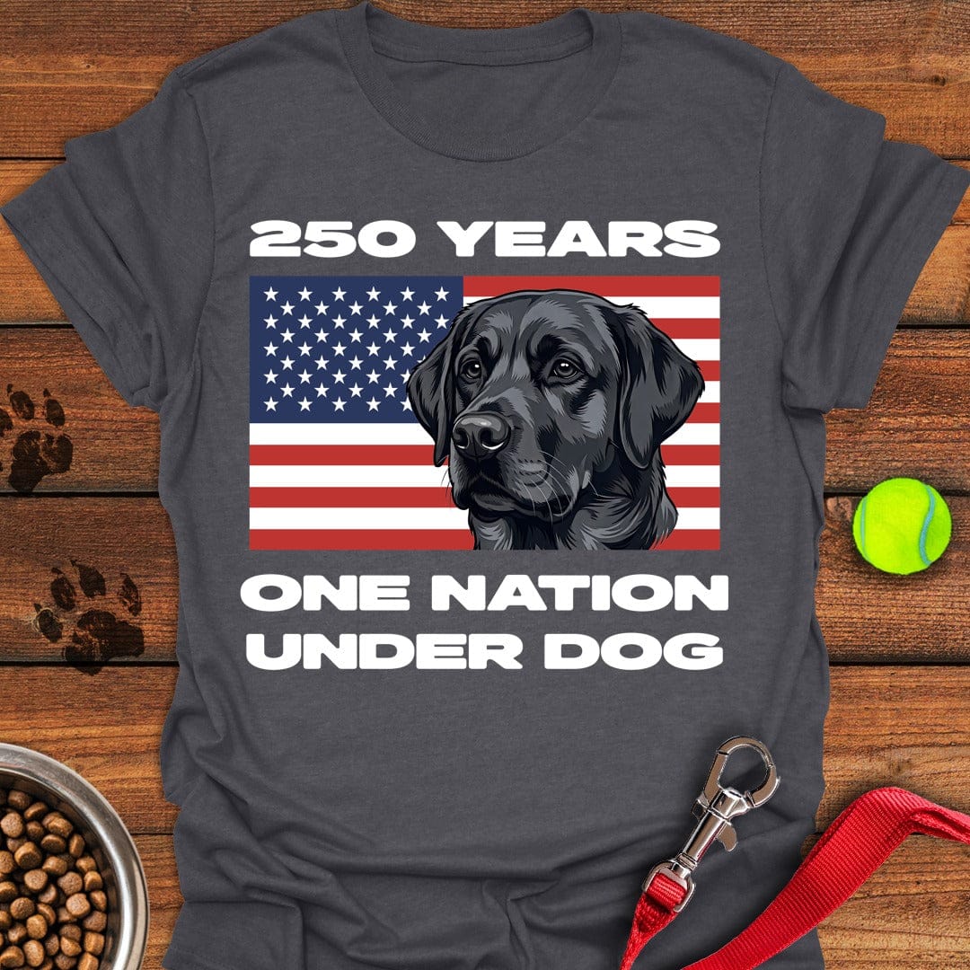 250 Years USA Black Lab Dark Heather