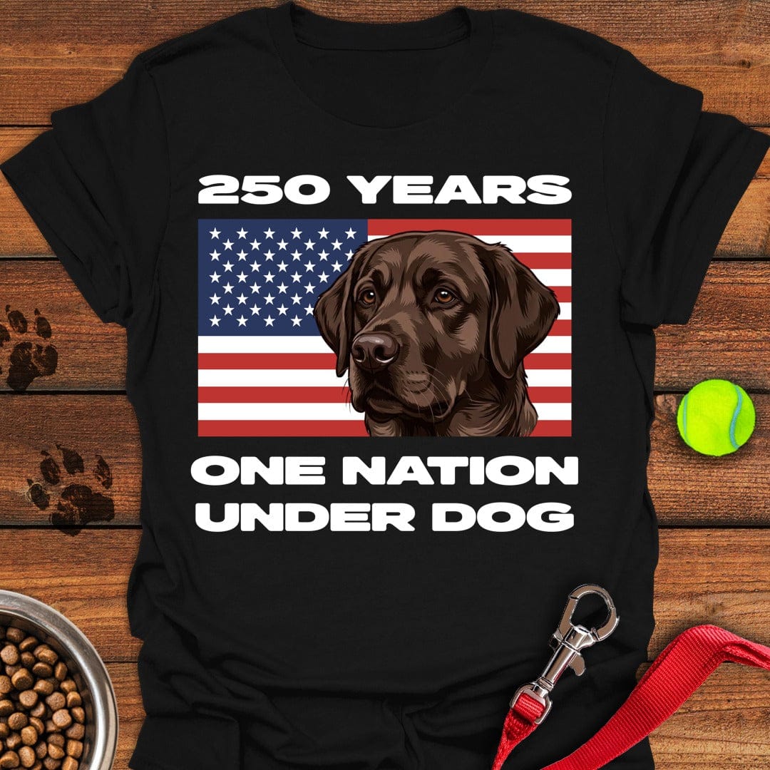 250 Years USA Chocolate Lab Black