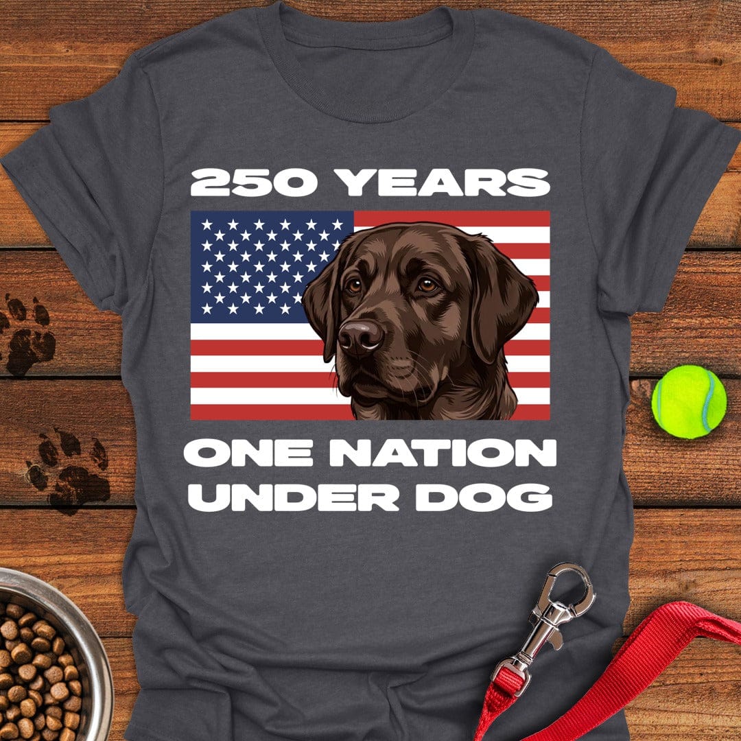250 Years USA Chocolate Lab Dark Heather