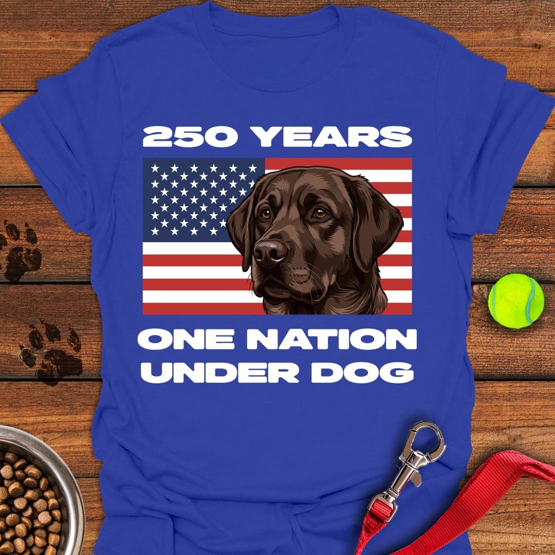 250 Years USA Chocolate Lab Royal