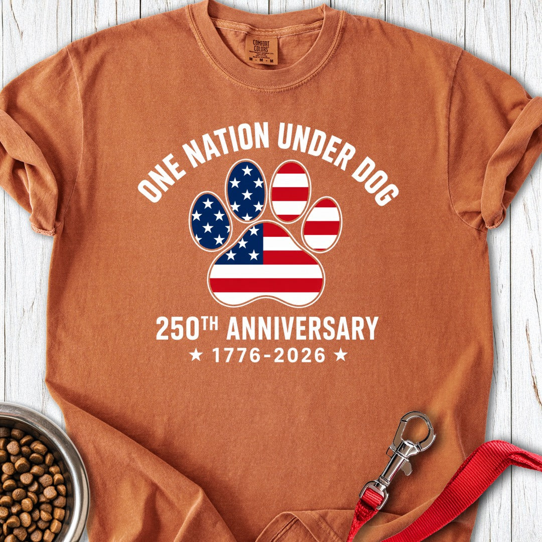 250 Years USA Dog 2 Premium Tee Yam