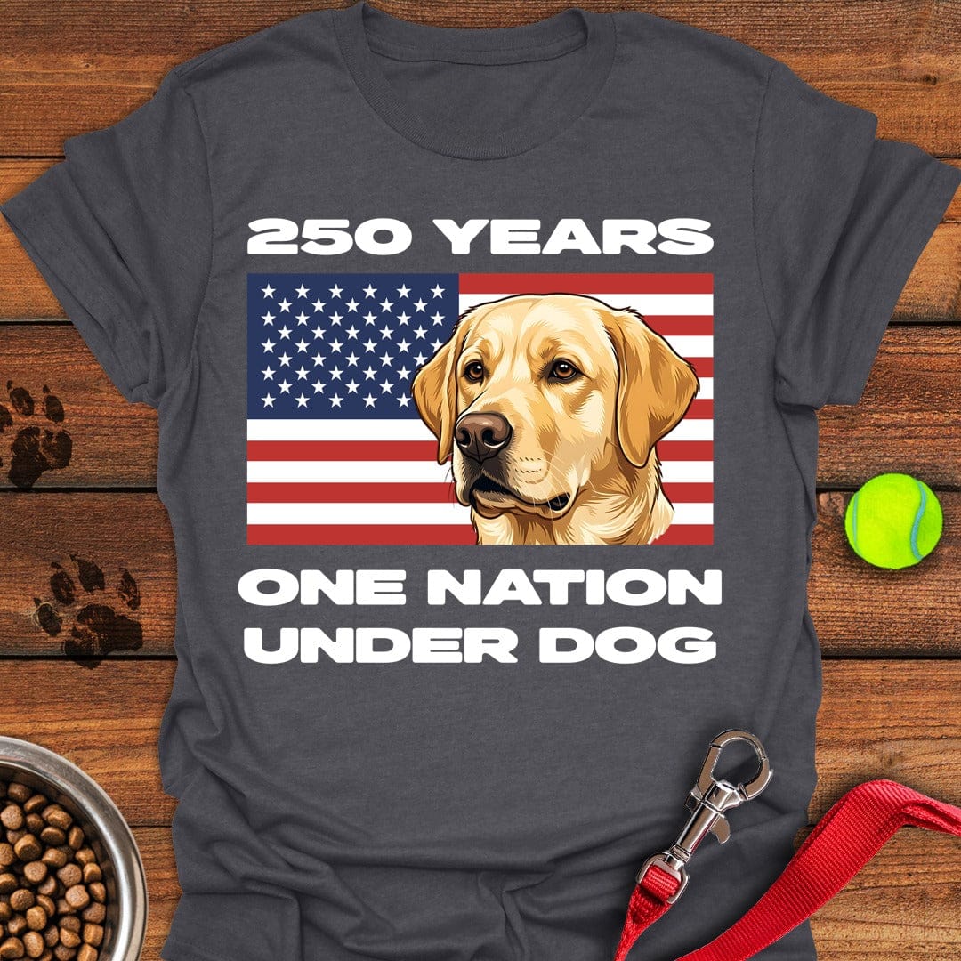250 Years USA Yellow Lab Dark Heather