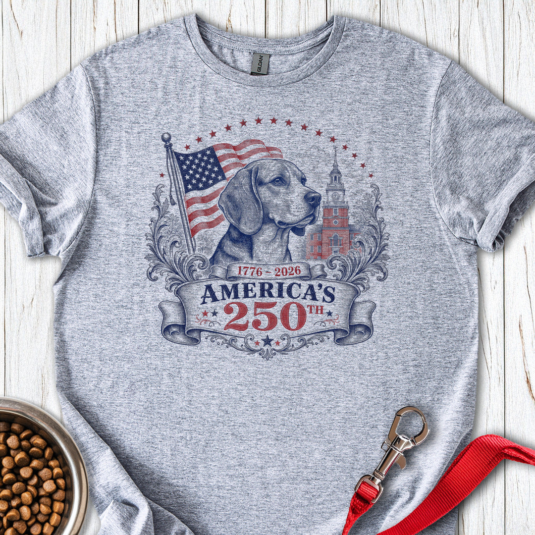250 Years USA Beagle Sport Grey