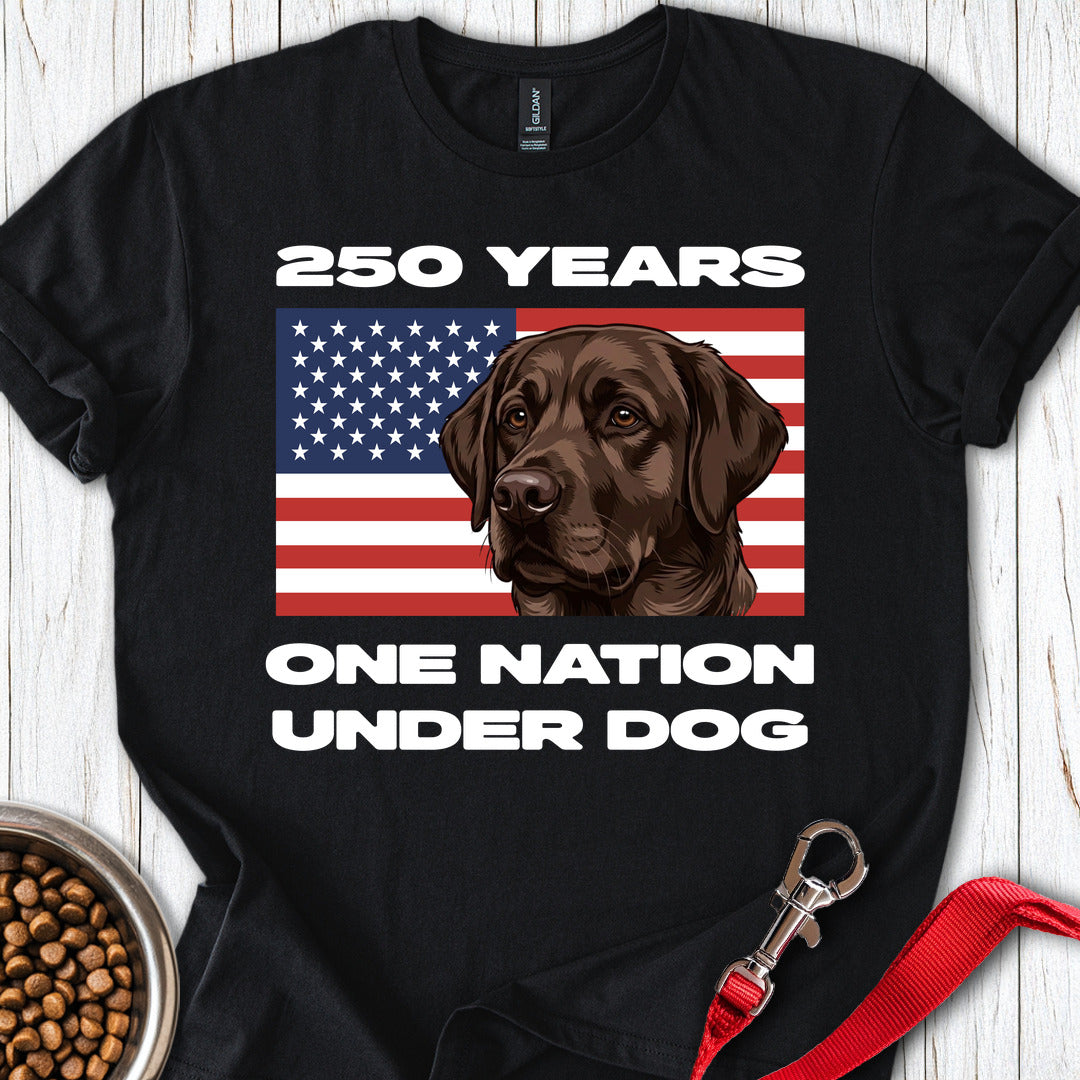 250 Years USA Chocolate Lab Black