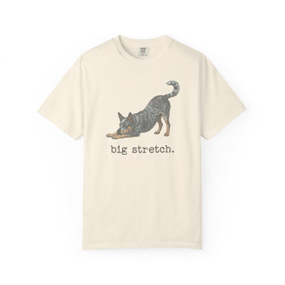 Australian Cattle Dog Big Stretch Premium Tee