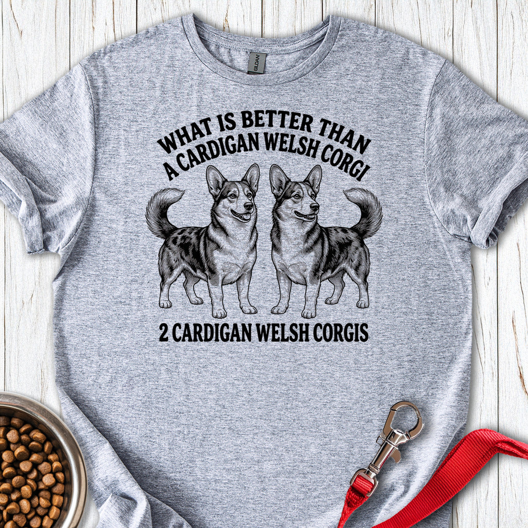 2 Cardigan Welsh Corgi — Sport Grey