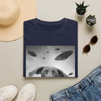 Weimaraner UFO