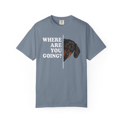 Dachshund Where Are You Going Black and Tan Premium Tee