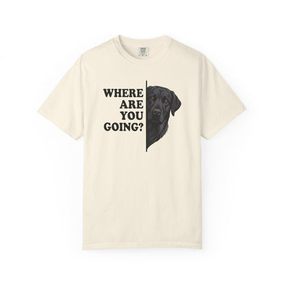 Black labrador Alert Premium Tee