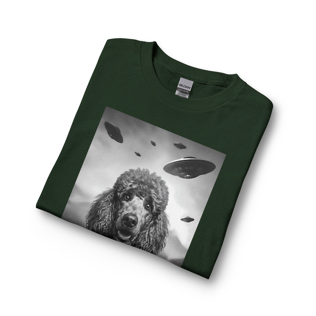 Standard Poodle UFO Long Sleeve
