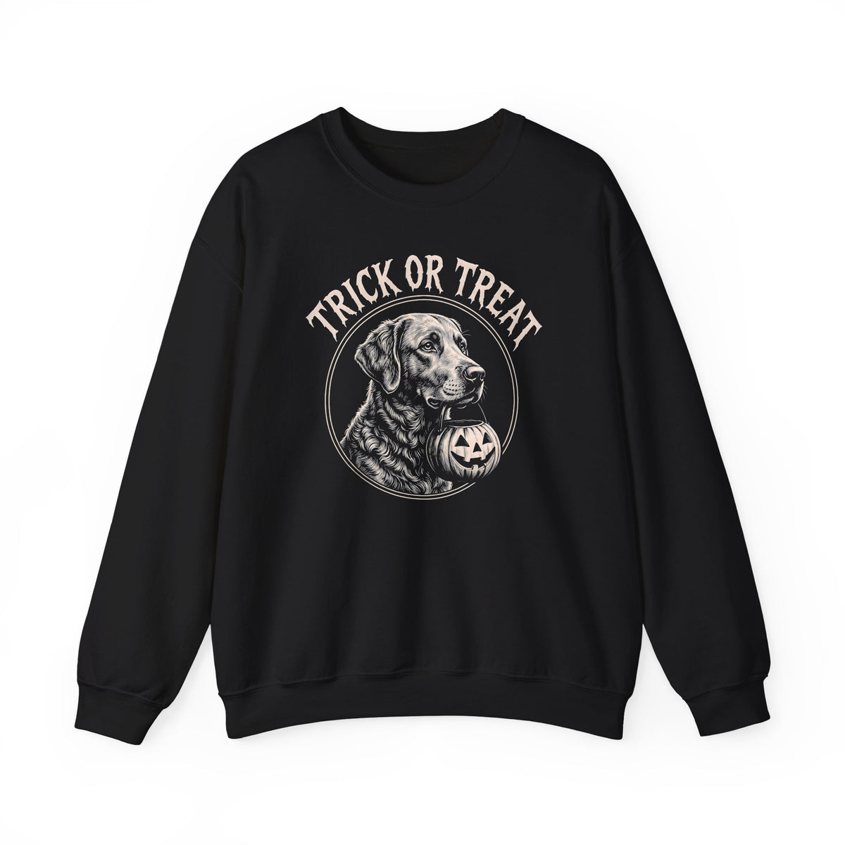 Chesapeake Bay Retriever Trick Or Treat Crewneck Sweatshirt