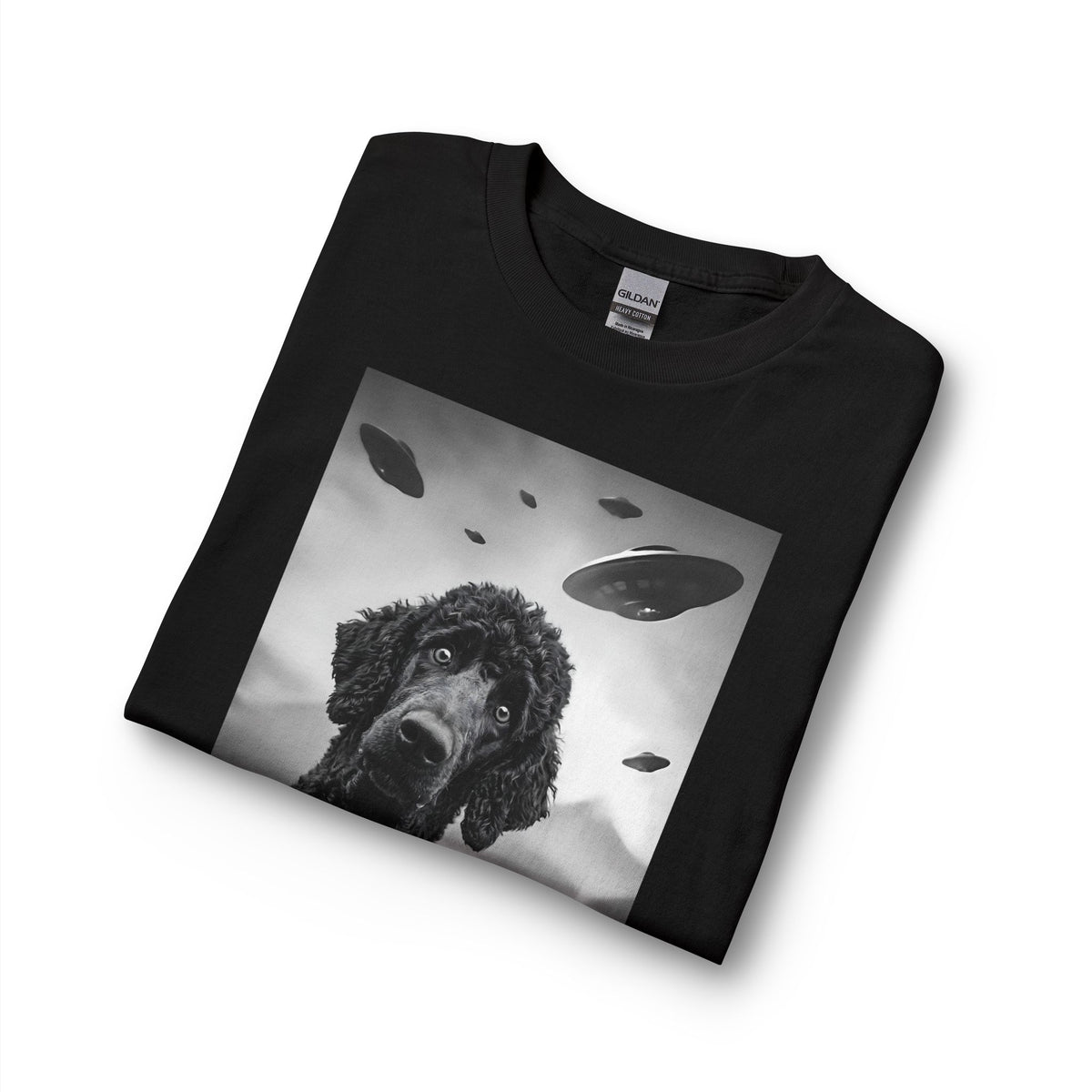 Standard Poodle UFO 2 Long Sleeve