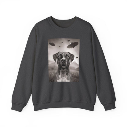 Boxer UFO Crewneck Sweatshirt