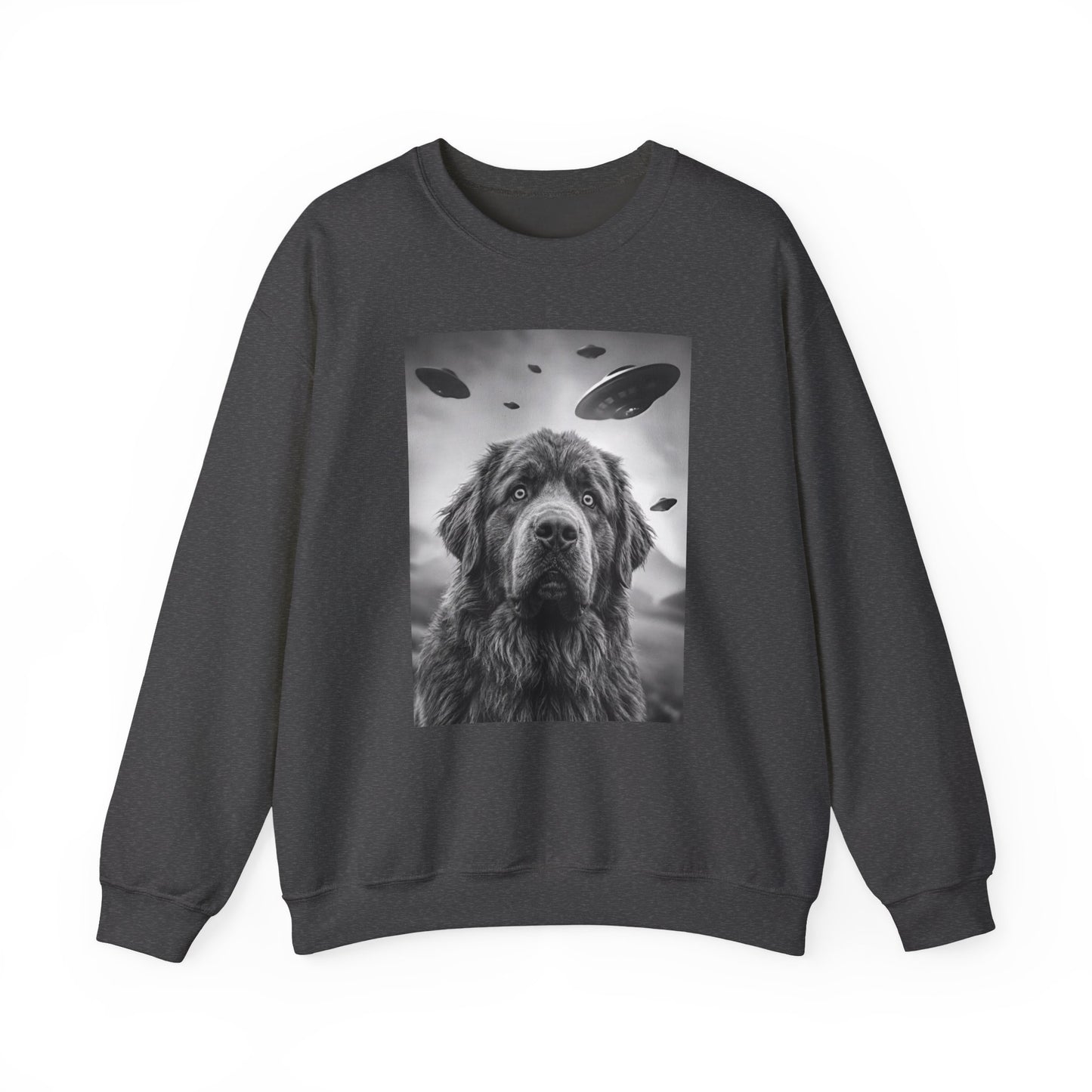 Newfoundland UFO Crewneck Sweatshirt
