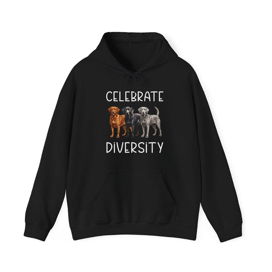 Celebrate Diversity Hoodie Black