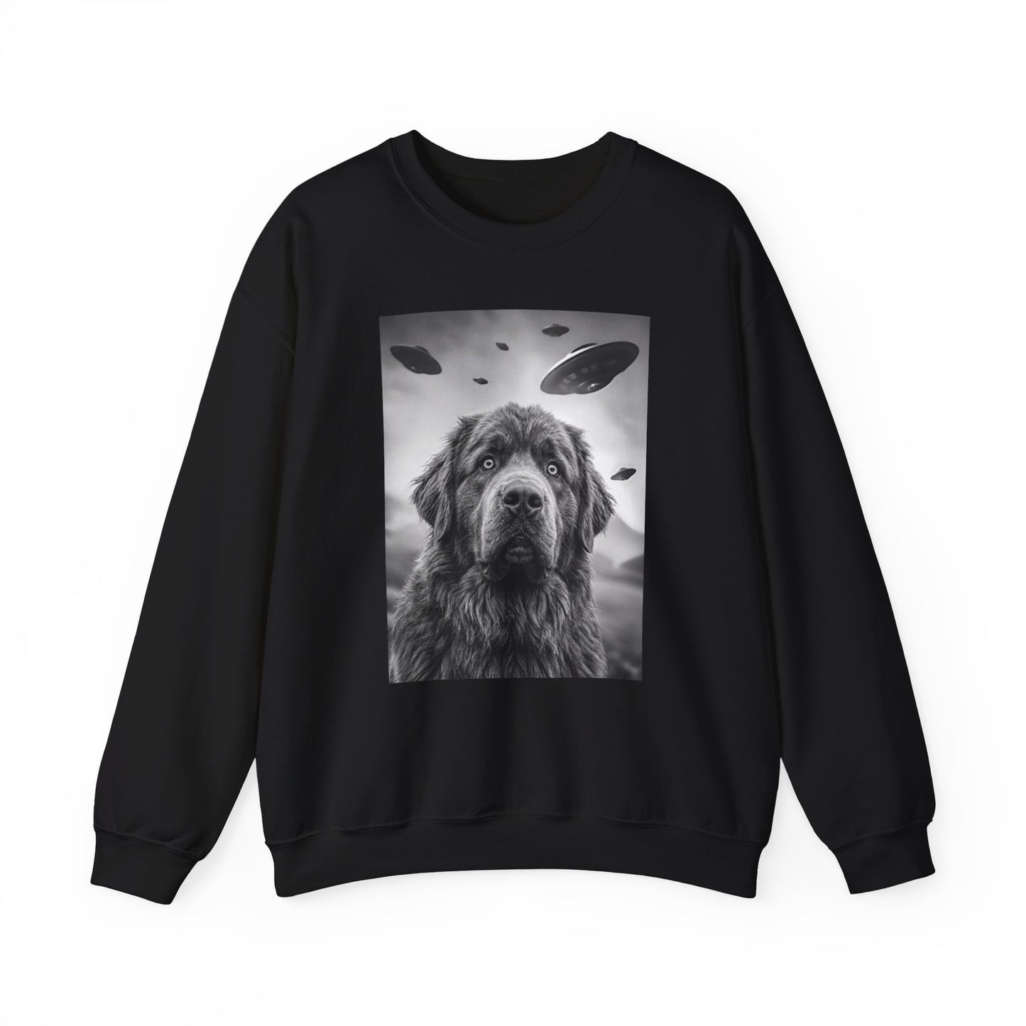 Newfoundland UFO Crewneck Sweatshirt