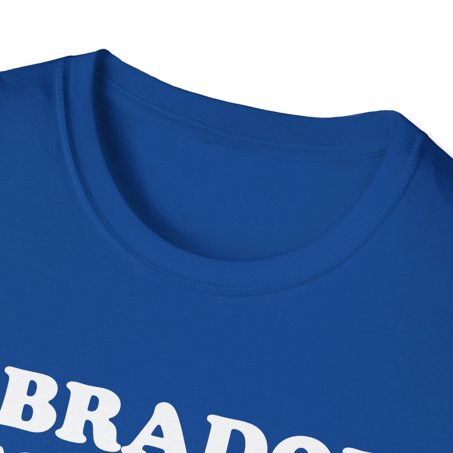 Labradors Before Dudes Tee