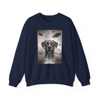 Boxer UFO Crewneck Sweatshirt